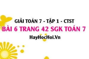 Giải bài 6 trang 42 Toán 7 Tập 1 SGK Chân trời sáng tạo